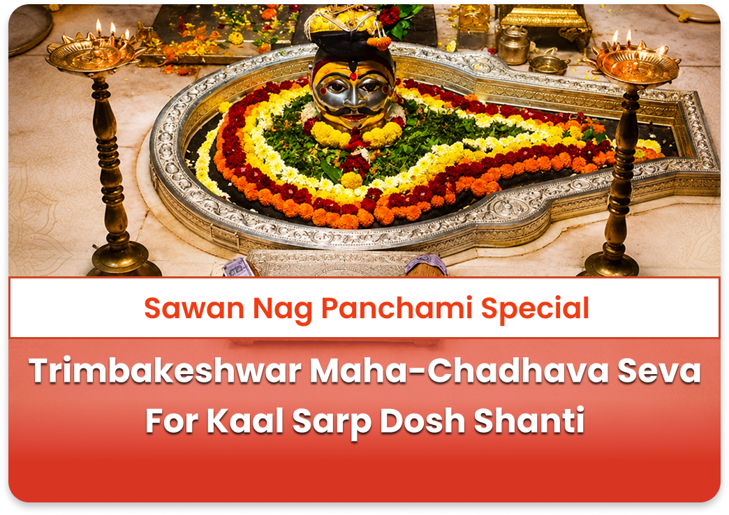 Sawan Nag Panchami Special Trimbakeshwar Maha-Chadhava Seva For Kaal Sarp Dosh Nivaran & Sukh Shanti
